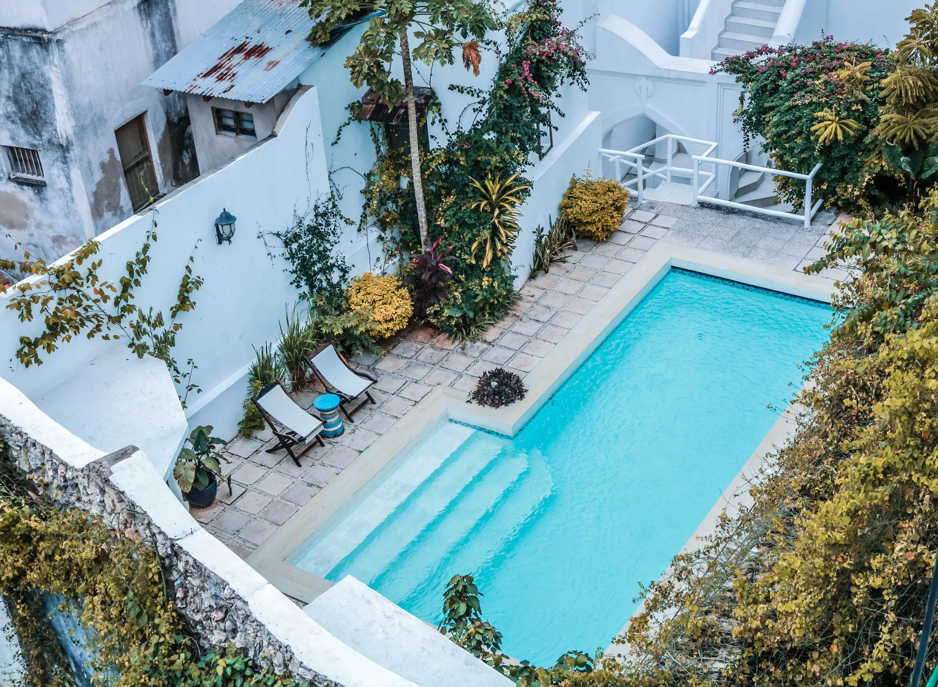 Sparkling pool in East Auckland backyard